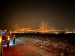 65 orman yangınıyla ilgili 10 kişi tutuklandı