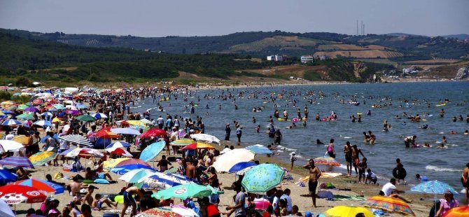 Bursa sahillerinden sevindiren haber