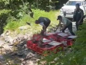 Kene ile mücadele timleri doğaya salındı