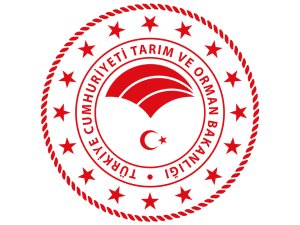 Bütçe Haziran’da açık verdi