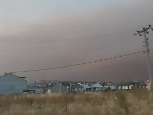 Bursa'yı duman ve kül kapladı