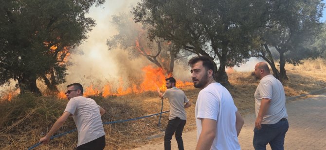 Orhangazi'de yangın: 2 çocuk gözaltında