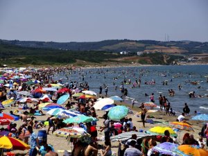 Bursa sahillerinden sevindiren haber