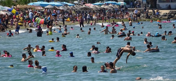 Bursa sahillerinden sevindiren haber