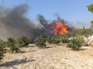 Mersin'de yangın nedeniyle 3 mahalle boşaltıldı