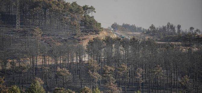 Bursa'nın dağ ilçeleri griye büründü