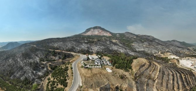 Gürsu yangınından geriye bu manzara kaldı