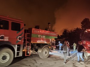Yangınlardan etkilenen hanelere destek verilecek