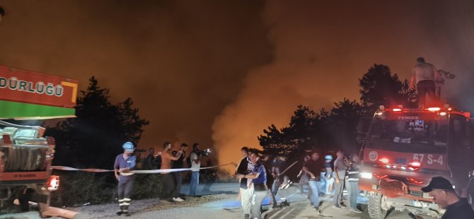 Yangınlardan etkilenen hanelere destek verilecek