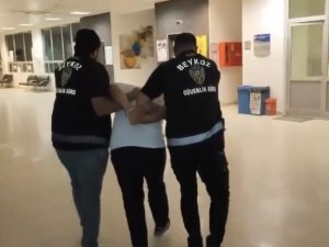Yangın çıkaran şahıs: "Eğlenmek için fişek attım"