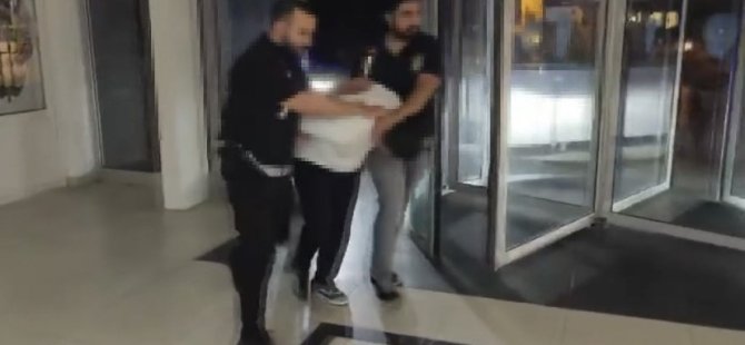 Yangın çıkaran şahıs: "Eğlenmek için fişek attım"