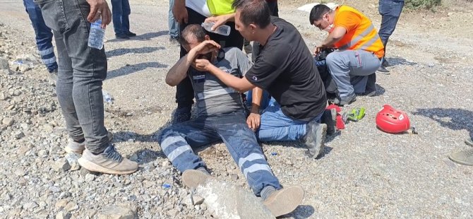 Yangında ölen hayvanlar için gözyaşı döktü