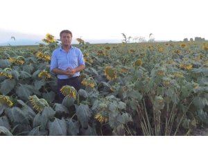 Sarıbal: ''Üretici zararda!''