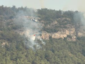 Karabük’teki orman yangını kısmi olarak kontrol altına alındı
