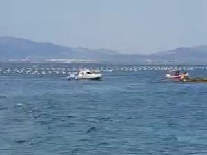 Boğulduğu sanılan dalgıç, yüzerek çıktı