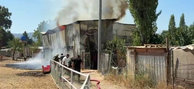 Bursa’da hayvan damı yandı