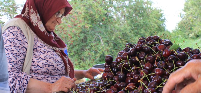 Meyve sebze ihracatçıları dertli