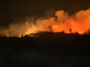 Bursa'da korkutan yangın