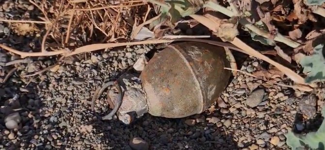 İznik Gölü kıyısında el bombası bulundu