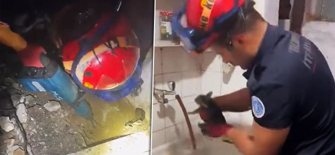 Bursa'da yaramaz kedinin imdadına itfaiye yetişti