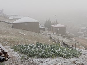 Karadeniz’de şiddetli yağış yerini kara bıraktı