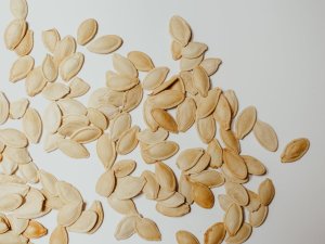 Bir buçuk yıllık öksürüğün nedeni kabak çekirdeği çıktı