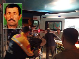 Bursa'da koyununu kurtarmak isterken yamaçtan düşüp yaralandı