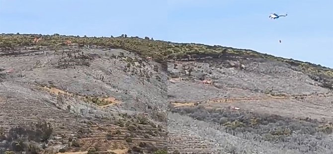 Bursa'da orman yangını! Rüzgar etkisini gösteriyor