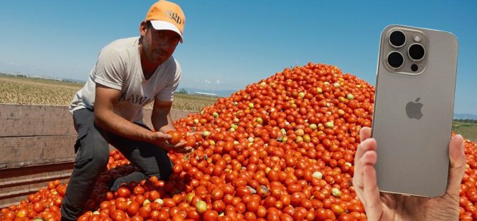 20 ton salçalık domates bir iPhone 17 ediyor