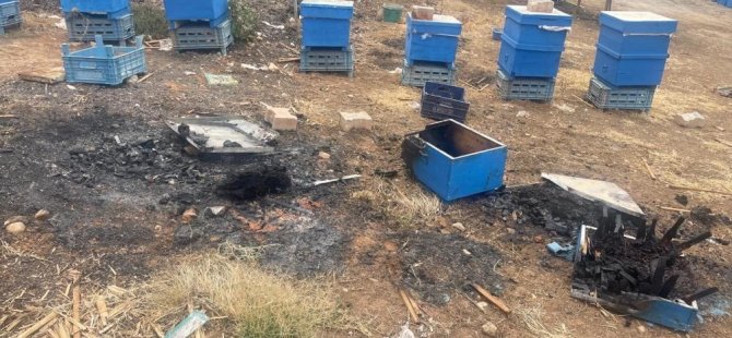 Bursa'da yangın mağduru arıcılara Büyükşehir desteği