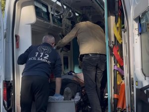 Uludağ'da kanlı kestane kavgası! Yaralılar var