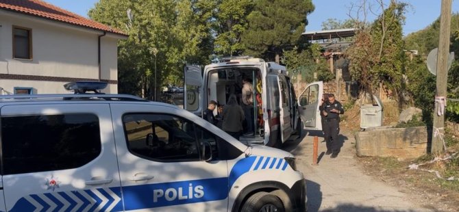 Uludağ'da kanlı kestane kavgası! Yaralılar var