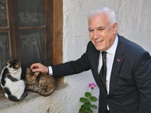 Bursa Büyükşehir'den can dostlara şefkat eli