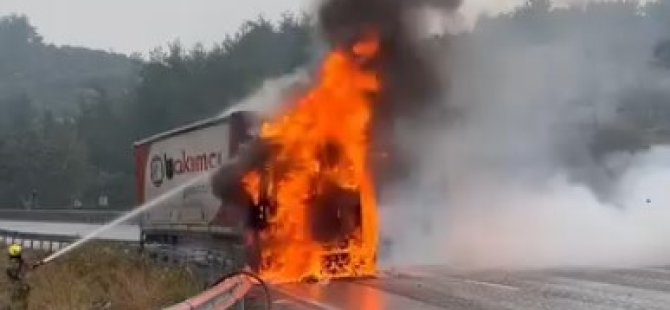 Bursa'da seyir halindeki tır alev alev yandı