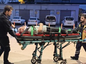 Bursa'da ceviz ağacından düşen adam hastanelik oldu