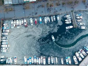 Arıtma tesisleri Marmara'daki müsilaj sorununu çözer mi?