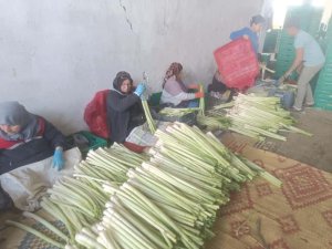 Bursa'da kışlık ürünlerde hasat başladı