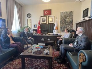 Yasemin Minguzzi DEM Parti'yi es geçti
