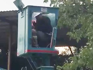 Bursa'da vinç üstünde 'arı' paniği!