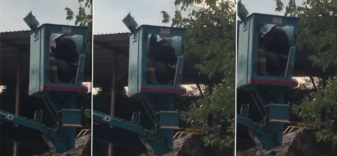 Bursa'da vinç üstünde 'arı' paniği!