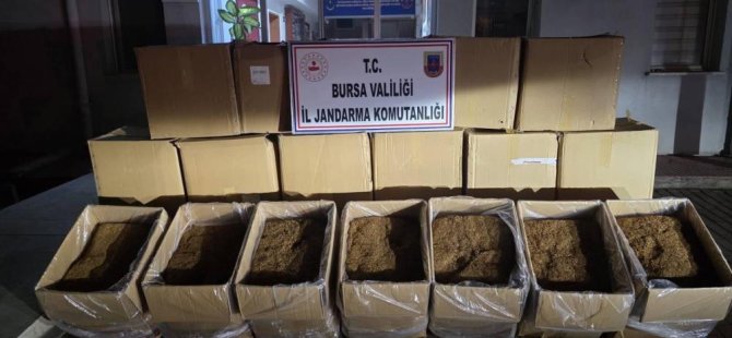 Bursa’da 750 kilogram kaçak tütün ele geçirildi