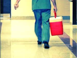 Organ nakli bekleyen hasta sayısı alarm veriyor!