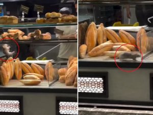 Fırında mide bulandıran görüntü! 10 bin dolar teklif etti ama..