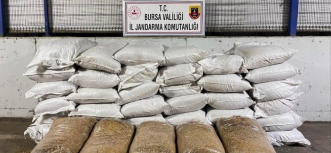 Bursa'da kaçak tütüne büyük darbe!