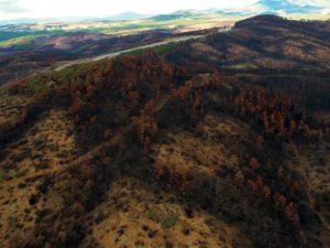 Bursa'da 300 bin fidan için ilk adım atıldı
