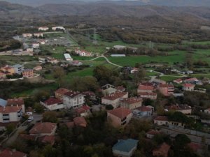 Şap alarmı! 3 köy karantinada