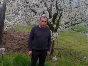 Bursa'da budadığı ağaçtan düşüp can verdi