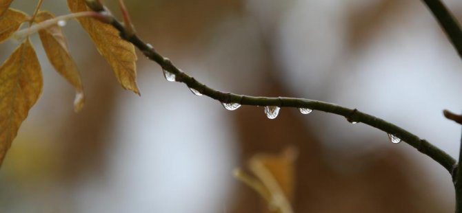 Bursalı çiftçilere 'yağmur' dopingi!
