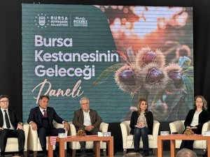 Bursa kestanesinin geleceği konuşuldu