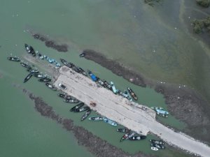 Bursa'nın o ilçesinde çeltik ekimi yasaklandı